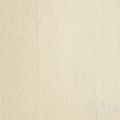 Папір кольоровий для пастелі Ingres 731 avorio 50х70 см 160 г/м.кв. Fabriano Італія