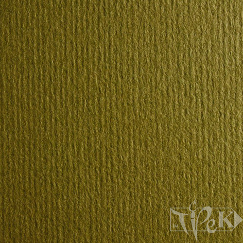 Картон кольоровий для пастелі Murillo 810 oliva А4 (21х29,7 см) 190 г/м.кв. Fabriano Італія
