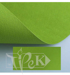 Папір кольоровий для пастелі Tiziano 43 pistacchio 50х65 см 160 г/м.кв. Fabriano Італія