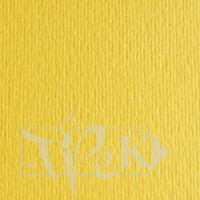 Картон кольоровий для пастелі Elle Erre 25 cedro 50х70 см 220 г/м.кв. Fabriano Італія