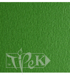 Картон кольоровий для пастелі Elle Erre 11 verde 70х100 см 220 г/м.кв. Fabriano Італія