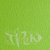 Картон кольоровий для пастелі Elle Erre 10 verde pisello А4 (21х29,7 см) 220 г/м.кв. Fabriano Італія