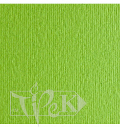 Картон кольоровий для пастелі Elle Erre 10 verde pisello А4 (21х29,7 см) 220 г/м.кв. Fabriano Італія