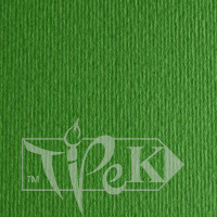 Картон кольоровий для пастелі Elle Erre 11 verde А4 (21х29,7 см) 220 г/м.кв. Fabriano Італія