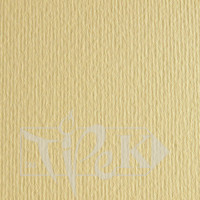 Картон кольоровий для пастелі Elle Erre 17 onice А4 (21х29,7 см) 220 г/м.кв. Fabriano Італія