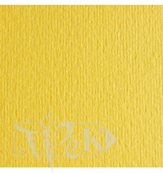 Картон кольоровий для пастелі Elle Erre 25 cedro А4 (21х29,7 см) 220 г/м.кв. Fabriano Італія