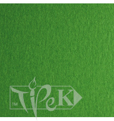 Картон дизайнерський Colore 31 verde 70х100 см 200 г/м.кв. Fabriano Італія