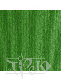 Картон кольоровий для пастелі Elle Erre 11 verde А3 (29,7х42 см) 220 г/м.кв. Fabriano Італія